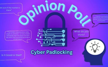🔒 Cybersecurity Poll